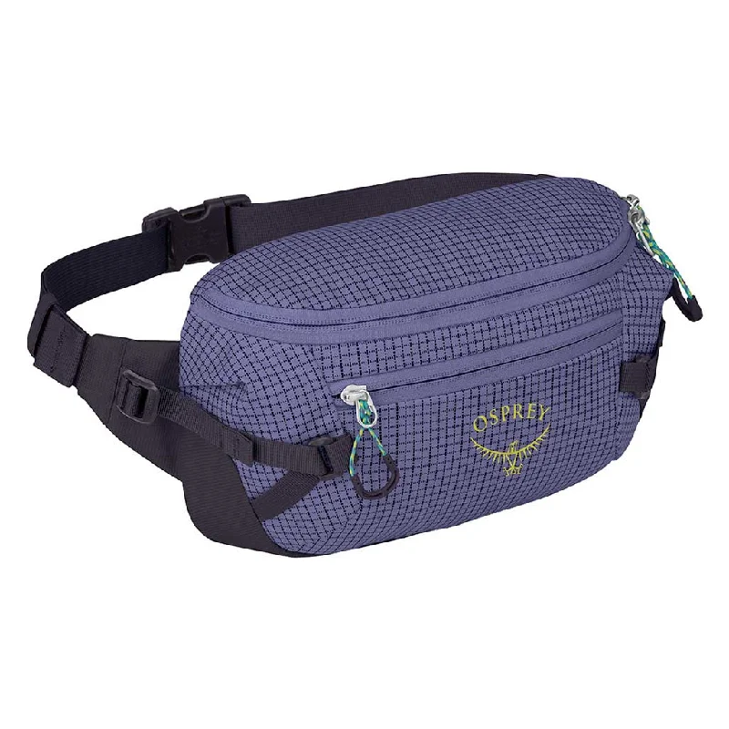 Transporter Waist Pack